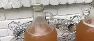 como hacer hidromiel casera